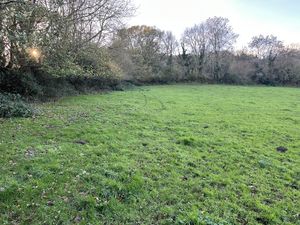 Photo 2- click for photo gallery